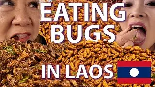 First Day in Laos | DMK Airport Lounge, Laos Immigration, Public Bus & Eating Bugs