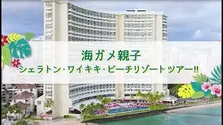 海ガメ親子がご案内する、シェラトン・ワイキキ・ビーチリゾート【ホテル公式動画】