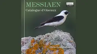 Catalogue d'oiseaux: VII. La rousserolle effarvatte