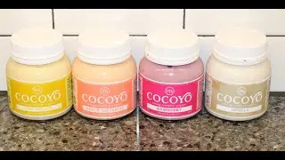 Cocoyo Living Coconut Yogurt: Pi&ntilde;a Colada, Peach Nectarine, Raspberry & Vanilla Review