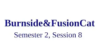 Burnside type results for fusion categories - Semester 2, Session 8