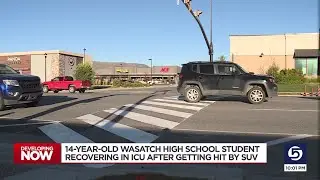 Heber teen in ICU after being hit at new crosswalk