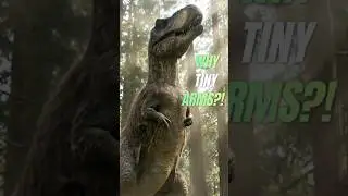 Why Does T-Rex Have Tiny Arms? 🦖 Funny Dinosaur Facts | Dino Den