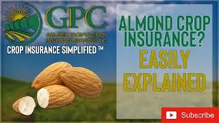 Almond Crop Insurance Explained | Golden Pacific Crop Insurance