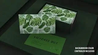 Business Card Mockup Video - After Effects Template