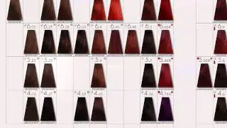 HOW TO  get started with Keune Color