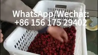 Dates Pitting Machine with Side Opening Function Jujube Deseeding Machine Date Palm Pitter#pitter