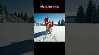 POV: Your Dog Unlocks Flight