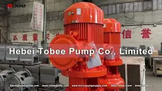 Sandman TSBV Vertical Magnum Sand Pumps