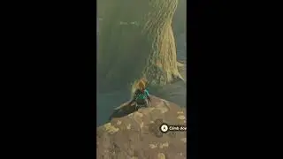 In Memory of Calamo#nintendoswitch2 #tearsofthekingdom #zelda