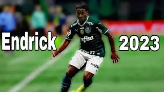 The Future No.9 off Brazil || Endrick Felipe || Lost sky