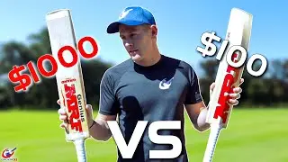 $100 vs $1000 Cricket Bat - Run Scoring Challenge