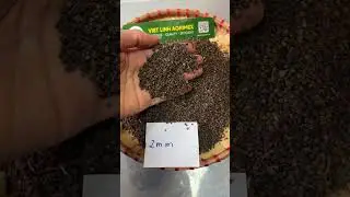 Vietnam Black Pepper Pinhead 2MM to 2.5MM - Spicy Herb Spice Dried Oil Preserved - Pinhead pepper