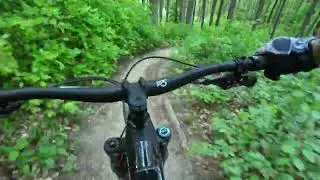 MTB | Wienerwald Trails | Sauberg Trail | April 2024