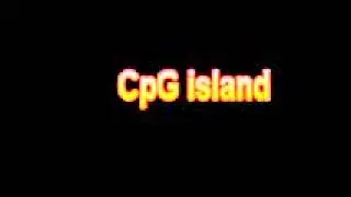 What Is The Definition Of CpG island - Medical Dictionary Free Online