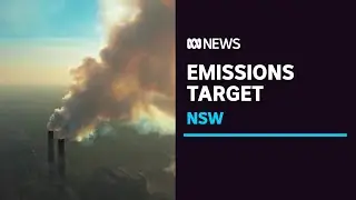 NSW government sets more ambitious 50pc emissions reduction target for 2030 | ABC News