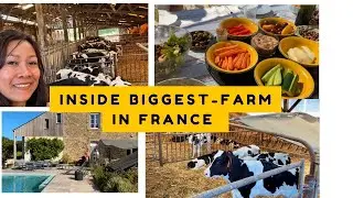 Exploring the Largest Family Farm in France / Full Tour Inside