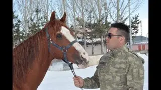 BİNİCİLİK MACERALARI - EXTREME HORSE RIDING #kars #binicilik  #mountedarchery #equitation #extreme