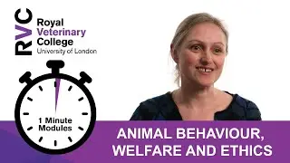 RVC 1 Minute Modules - Animal Behaviour, Welfare and Ethics