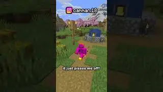 the most annoying item in minecraft...