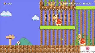 Toad's Awfully Big Adventure (Super Mario Maker)