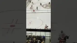 One second swear by disabwolf #nhlbruins