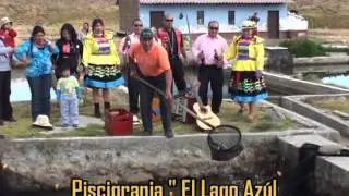 PUYAS DE LOS ANDES ( Mix de huaynos)