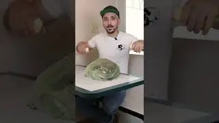 ПОСМОТРИТЕ НА ЭТИ ОГРОМНЫЕ ЛЯГУШАЧЬИ ГЛАЗА.