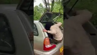 10 Seconds of Terror! An African Bush Pig Charged at Me&mdash;I Froze!