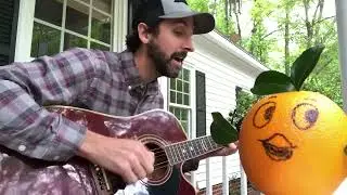 The Orange Bird Song