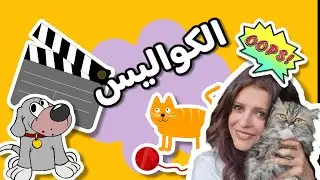 اكل العيش مش سهل برده 😄 بسجل في جنينة الحيوانات 😅making the video from the zoo 🐕🐈🐈‍⬛😄