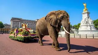 A (Viral/Series): UNREAL LONDON: Wild Animals Take Over The City  🇬🇧 4K HDR