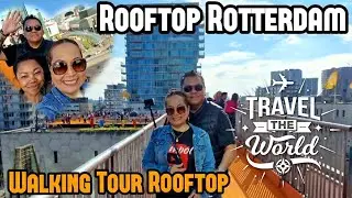 Rooftop Rotterdam - Walking Tour, Rotterdam Centrum lopen op t dak, Walking Tour Rotterdam Rooftop