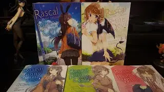 Light Novel and Manga Differences | Rascal Does Not Dream of Bunny Girl Senpai