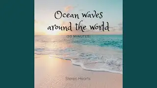 Ocean waves around the world (30 minutes)