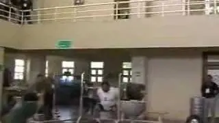 Hossein Reza Zadeh 305kg squat