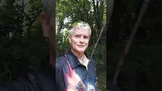LightintheBox Phoenix Rising Yellow Safety driving shooting glasses August 1 2023 Michael Vanderpool