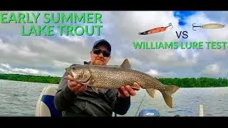 Early Summer Lake Trout | Smashing Backlake Lakers | Quick Silver VS. Bully Spoons
