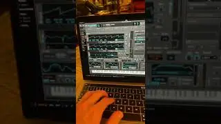 Neuro Bass Trick- randomizers and Lfos in Harmony #phaseplant