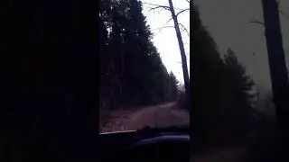 Потерялся в лесу.Не знаю как выбраться.Автодрайв