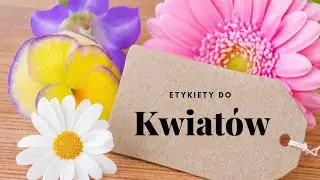 DRUKARKA DO ETYKIET - BROTHER PT-H108 #1