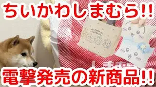 【ちいかわ】急遽発表された「しまむらコラボ」に参戦してきた！！