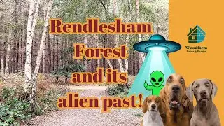 Rendlesham Forest and its alien past! : You Ask, We Answer #holiday #holidaycottages #dogfriendly