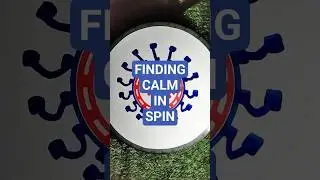 calm in spin #phenkistoscope #calmspin