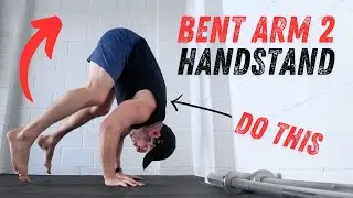 Bent Arm Strength for Handstands - 12 Progressions