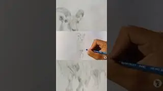 วาดแพะแรเงาด้วยดินสอ  Draw a shaded goat with a pencil.