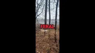 WHAT is FERAL HUNTING