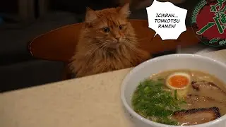 Make ICHIRAN Tonkotsu Ramen at Home! (ICHIRAN Ramen Kit)