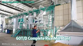 60T/D Modern Rice Processing Plant Supplier-Co-Grain Rice Mill #ricemillsupplier
