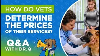 How do vets determine the prices of their services? | Q&A with Dr. Q | The Business of Pet Care